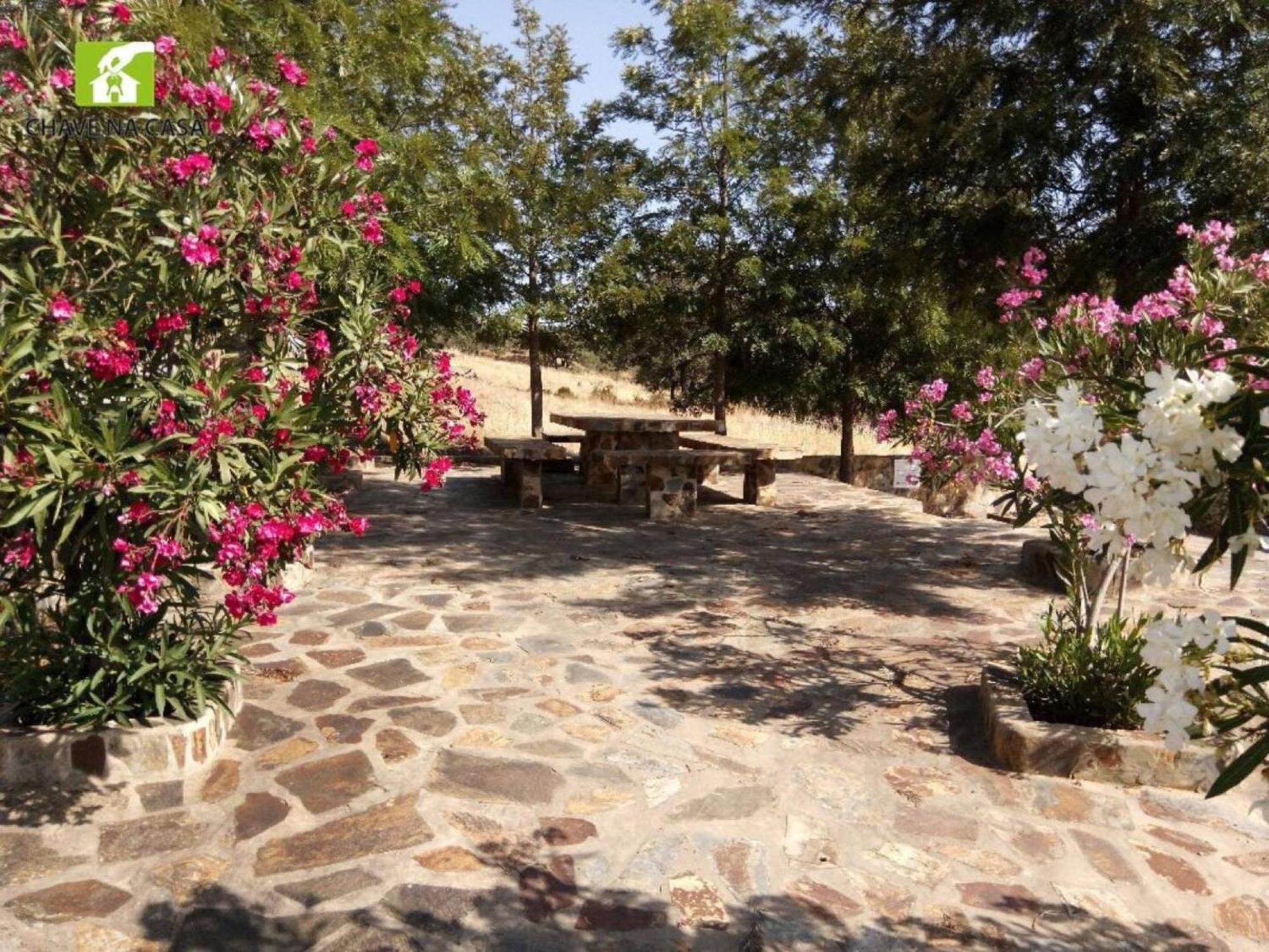 Casa Das Bonecas Farelos de Baixo Экстерьер фото